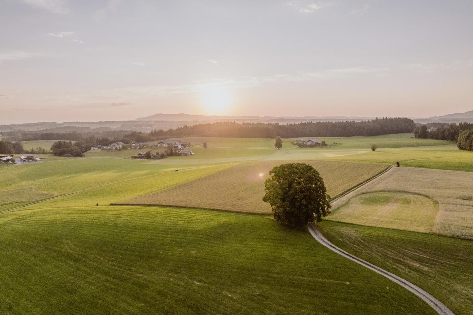 Landhotel Gschirnwirt Eugendorf Zewnętrze zdjęcie